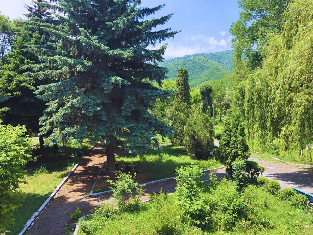 Санаторий и отель Ванадзор Армения Экстерьер фото